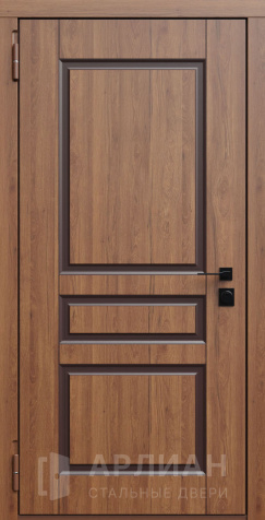 Фото №2 «Железная входная дверь для частного дома №789»